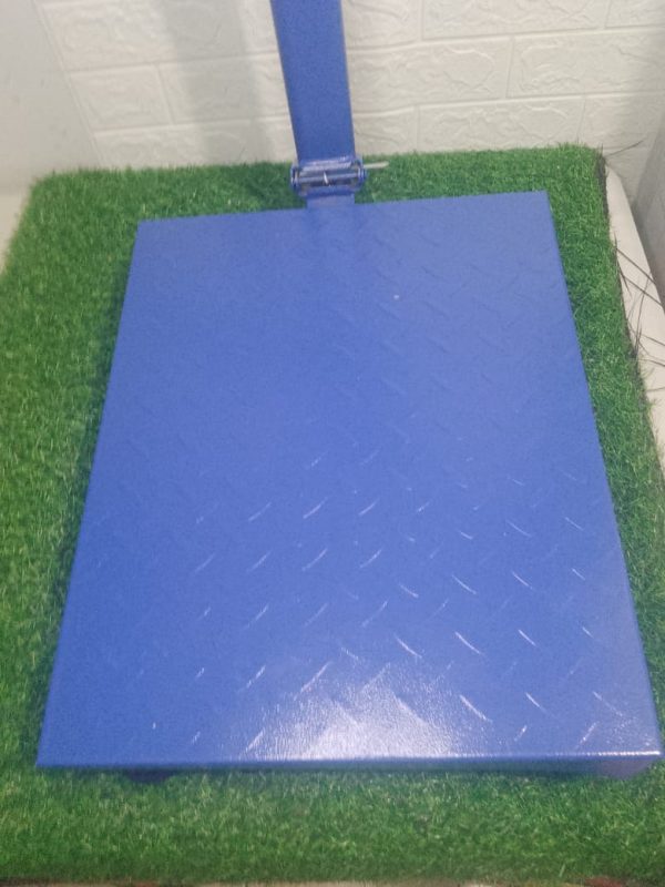 BALANZA 300KG - Imagen 3