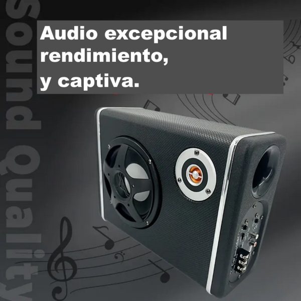 BAJO SUBWOOFER - Imagen 7